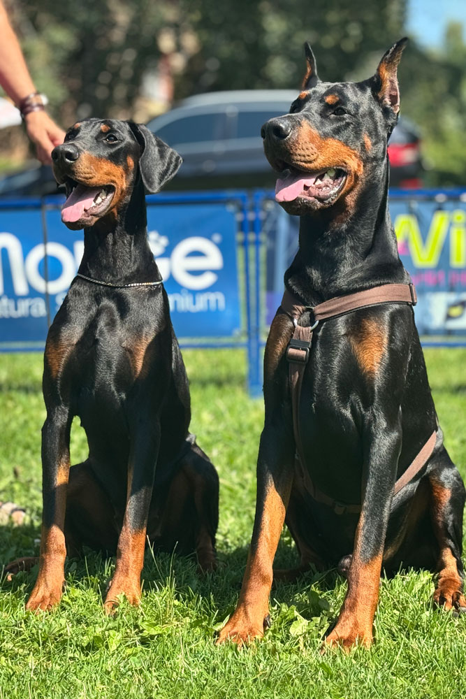 Nyx Night Goddess deGV and Marvel deGV  Nyx Night Goddess deGV and Marvel deGV