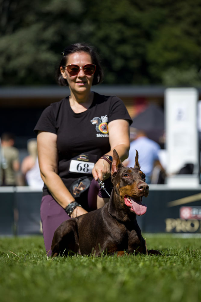 Me with Elvenrose deGV  Me with Elvenrose deGV